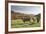 Cows, Autumn, Lindenfels (Town), Odenwald (Low Mountain Range), Hesse, Germany-Raimund Linke-Framed Photographic Print