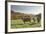 Cows, Autumn, Lindenfels (Town), Odenwald (Low Mountain Range), Hesse, Germany-Raimund Linke-Framed Photographic Print