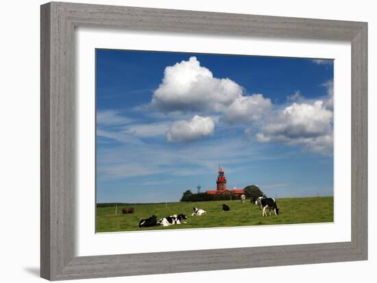 Cows Graze in Front of a Lighthouse in Bastorf, Germany-Bernd Wuestneck-Framed Photo