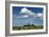 Cows Graze in Front of a Lighthouse in Bastorf, Germany-Bernd Wuestneck-Framed Photo