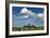 Cows Graze in Front of a Lighthouse in Bastorf, Germany-Bernd Wuestneck-Framed Photo