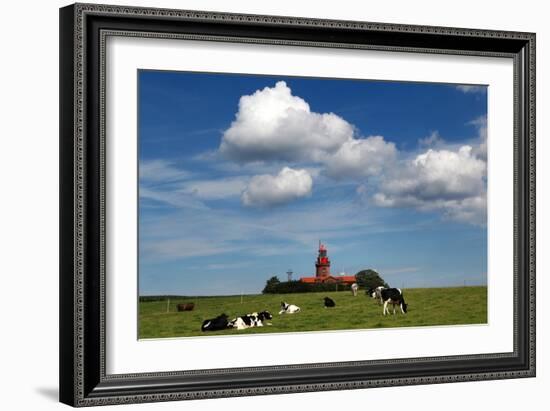 Cows Graze in Front of a Lighthouse in Bastorf, Germany-Bernd Wuestneck-Framed Photo