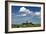 Cows Graze in Front of a Lighthouse in Bastorf, Germany-Bernd Wuestneck-Framed Photo