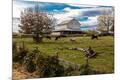 Photographic Print