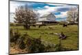 Photographic Print
