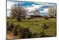 Photographic Print