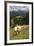 Cows Grazing Near the Rosengarten Mountains in the Dolomites Near Canazei-Martin Child-Framed Photographic Print