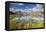 Cows grazing on green pastures surrounding the alpine lake, Val Bugliet, Canton of Graubunden, Enga-Roberto Moiola-Framed Premier Image Canvas