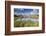 Cows grazing on green pastures surrounding the alpine lake, Val Bugliet, Canton of Graubunden, Enga-Roberto Moiola-Framed Photographic Print