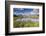 Cows grazing on green pastures surrounding the alpine lake, Val Bugliet, Canton of Graubunden, Enga-Roberto Moiola-Framed Photographic Print