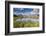 Cows grazing on green pastures surrounding the alpine lake, Val Bugliet, Canton of Graubunden, Enga-Roberto Moiola-Framed Photographic Print