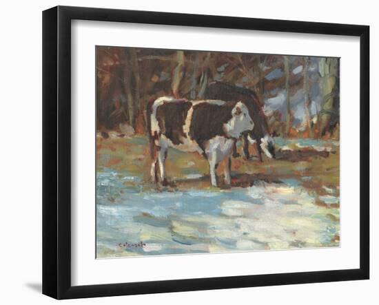Cows Grazing, Somerset III-Stephen Calcasola-Framed Art Print