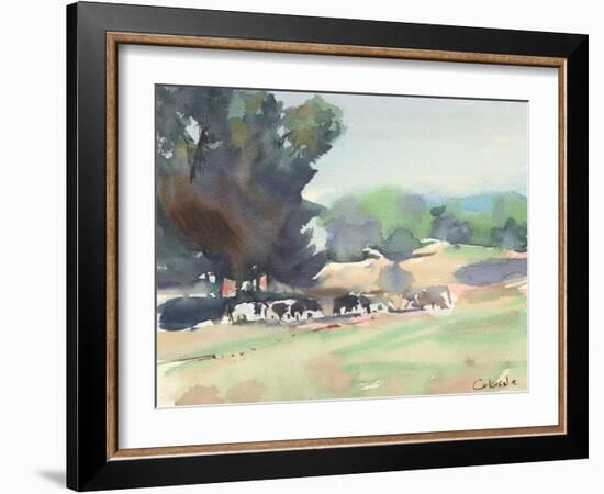 Cows Grazing, Somerset-Stephen Calcasola-Framed Art Print