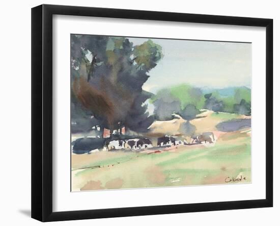 Cows Grazing, Somerset-Stephen Calcasola-Framed Art Print