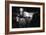 Cows in a Field-Clive Nolan-Framed Photographic Print