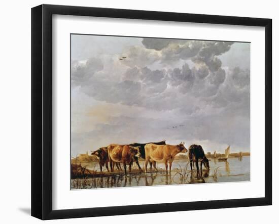 Cows in a River, C.1650-Aelbert Cuyp-Framed Giclee Print