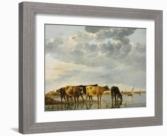 Cows in a River-Aelbert Cuyp-Framed Giclee Print