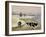 Cows in a Winter River-Margaret Loxton-Framed Giclee Print