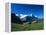 Cows in Alpine Meadow with Fiescherhorner and Eiger Mountains Beyond, Swiss Alps, Switzerland-Ruth Tomlinson-Framed Premier Image Canvas