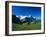 Cows in Alpine Meadow with Fiescherhorner and Eiger Mountains Beyond, Swiss Alps, Switzerland-Ruth Tomlinson-Framed Photographic Print