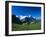 Cows in Alpine Meadow with Fiescherhorner and Eiger Mountains Beyond, Swiss Alps, Switzerland-Ruth Tomlinson-Framed Photographic Print