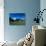 Cows in Alpine Meadow with Fiescherhorner and Eiger Mountains Beyond, Swiss Alps, Switzerland-Ruth Tomlinson-Photographic Print displayed on a wall