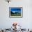 Cows in Alpine Meadow with Fiescherhorner and Eiger Mountains Beyond, Swiss Alps, Switzerland-Ruth Tomlinson-Framed Photographic Print displayed on a wall