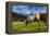 Cows in the green pastures framed by the high peaks of the Alps, Garmisch Partenkirchen, Upper Bava-Roberto Moiola-Framed Premier Image Canvas