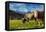 Cows in the green pastures framed by the high peaks of the Alps, Garmisch Partenkirchen, Upper Bava-Roberto Moiola-Framed Premier Image Canvas