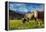 Cows in the green pastures framed by the high peaks of the Alps, Garmisch Partenkirchen, Upper Bava-Roberto Moiola-Framed Premier Image Canvas