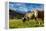 Cows in the green pastures framed by the high peaks of the Alps, Garmisch Partenkirchen, Upper Bava-Roberto Moiola-Framed Premier Image Canvas