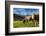 Cows in the green pastures framed by the high peaks of the Alps, Garmisch Partenkirchen, Upper Bava-Roberto Moiola-Framed Photographic Print