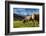 Cows in the green pastures framed by the high peaks of the Alps, Garmisch Partenkirchen, Upper Bava-Roberto Moiola-Framed Photographic Print