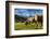 Cows in the green pastures framed by the high peaks of the Alps, Garmisch Partenkirchen, Upper Bava-Roberto Moiola-Framed Photographic Print