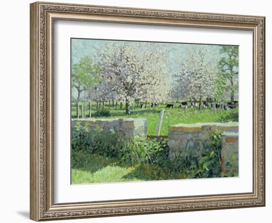 Cows in the Orchard, 1988-Lucy Willis-Framed Giclee Print