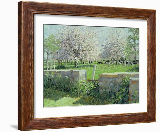 Cows in the Orchard, 1988-Lucy Willis-Framed Giclee Print