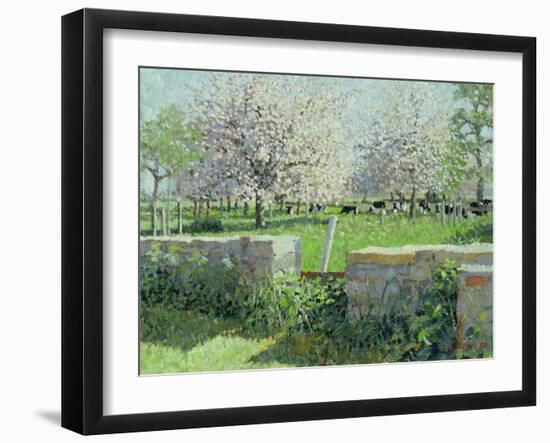 Cows in the Orchard, 1988-Lucy Willis-Framed Giclee Print