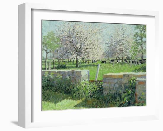 Cows in the Orchard, 1988-Lucy Willis-Framed Giclee Print