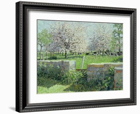 Cows in the Orchard, 1988-Lucy Willis-Framed Giclee Print