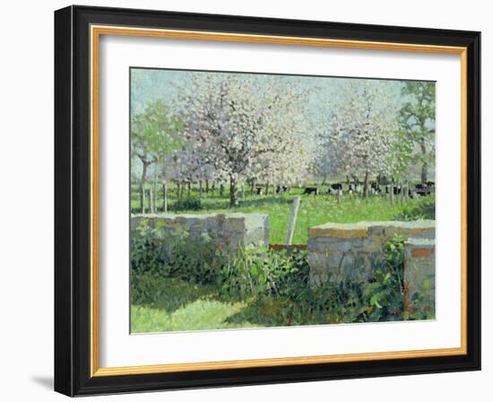 Cows in the Orchard, 1988-Lucy Willis-Framed Giclee Print