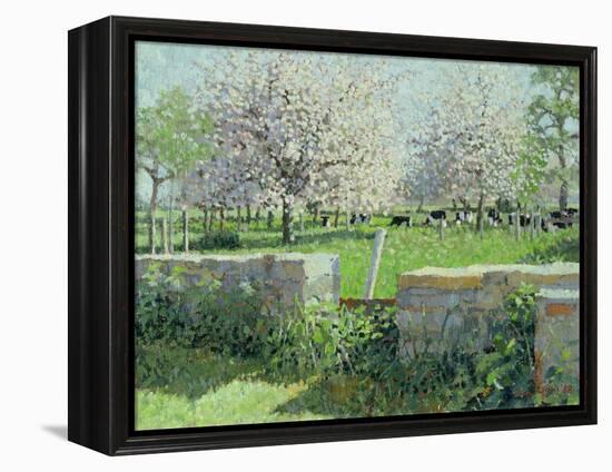 Cows in the Orchard, 1988-Lucy Willis-Framed Premier Image Canvas