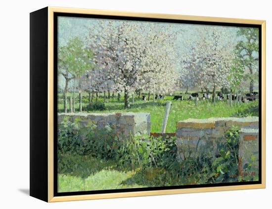 Cows in the Orchard, 1988-Lucy Willis-Framed Premier Image Canvas