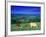 Cows in the Valley, South Wales-Peter Adams-Framed Photographic Print