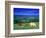 Cows in the Valley, South Wales-Peter Adams-Framed Photographic Print