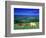 Cows in the Valley, South Wales-Peter Adams-Framed Photographic Print