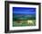 Cows in the Valley, South Wales-Peter Adams-Framed Photographic Print