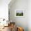 Cows on a Polder in the Early Morning, with a Windmill in the Background, in Holland, Europe-Groenendijk Peter-Framed Photographic Print displayed on a wall