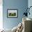 Cows on a Polder in the Early Morning, with a Windmill in the Background, in Holland, Europe-Groenendijk Peter-Framed Photographic Print displayed on a wall