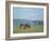 Cows on the Banks of the Seine at Saint-Mammes (Pastel)-Alfred Sisley-Framed Giclee Print