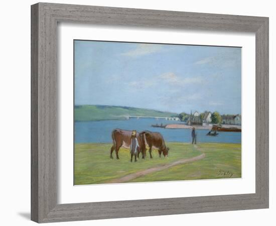 Cows on the Banks of the Seine at Saint-Mammes (Pastel)-Alfred Sisley-Framed Giclee Print